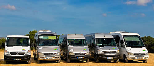 Mercedes mini-buses for private transfers