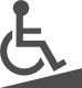 Wheelchair adapted van