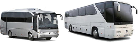 24 seater buses and 49 seater coaches