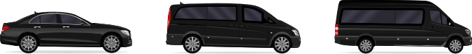 Executive and VIP vehicles