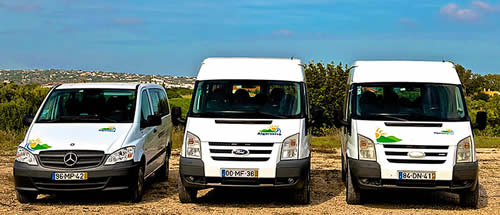 Mercedes and Ford Vans