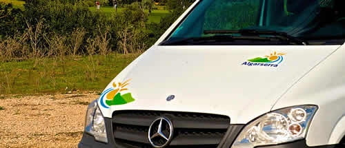 Mercedes vans