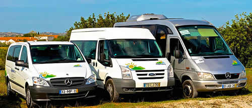 Ford vans and Mercedes mini-buses for private transfers