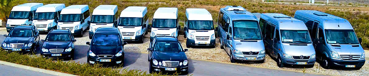 Private fleet of Mercedes and Ford taxis for theme park transfers